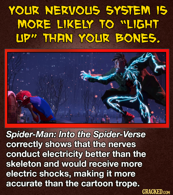 YOUK NEKVOUS SYSTEM I5 MOKE LIKELY TO LIGHT UP THAN YOUR BONES. Spider-Man: Into the Spider-Verse correctly shows that the nerves conduct electricity better than the skeleton and would receive more electric shocks, making it more accurate than the cartoon trope. CRACKED.GOM