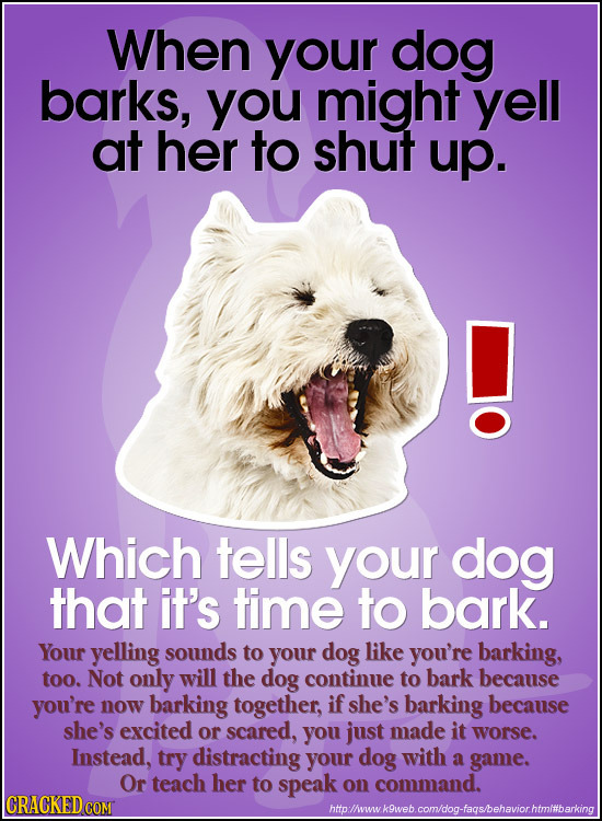 When your dog barks, you might yell at her to shut up. Which tells your dog that it's time to bark. Your yelling sounds to your dog like you're barkin