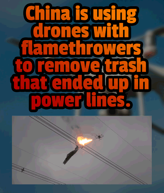 19 Pros Who Use Ordinary Products In Extraordinary Ways