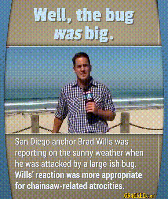 Hilarious Moments That Actually Happened On Live TV