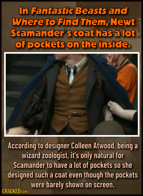 In Fantastic Beasts and Where to Find Them, Newt Scamander's coat has a lot of pockets on the inside. According to designer Colleen Atwood, being a wi