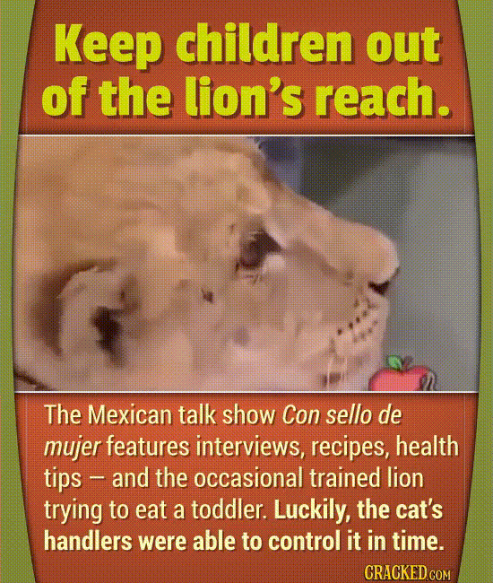 Hilarious Moments That Actually Happened On Live TV