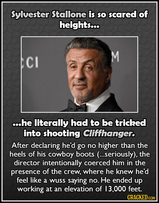 Sylvester Stallone is So scared of heights... M CI ...he literally had to be tricked into shooting Cliffhanger. After declaring he'd go no higher than
