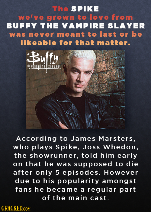 The SPIKE welve grown to love from BUFFY THE VAMPIRE SLAYER was never meant to last or be likeable for that matter. Buffy the ampire Slauer According