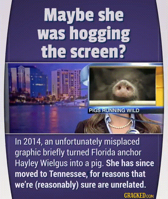 Hilarious Moments That Actually Happened On Live TV