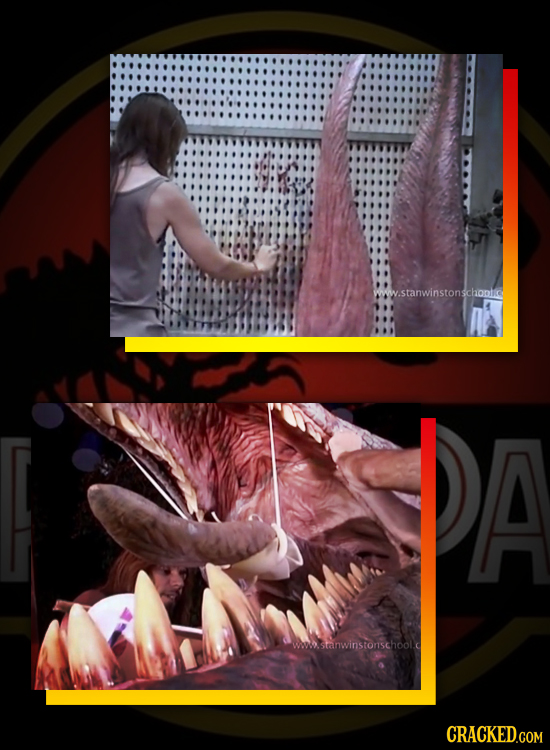 ww.stanwinstonschonlic A Wwwsaanwinstonschool.c CRACKED.COM