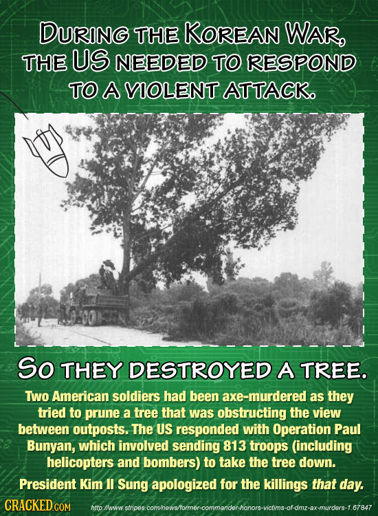 DURING THE KOREAN WAR, THE US NEEDED TO RESPOND TO A VIOLENT ATTACK So THEY DESTROYED A TREE. TWo American soldiers had been axe-murdered as they trie