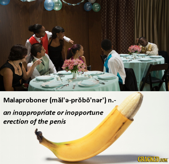 Malaproboner (mal'a-probo'nar'l n.- an inappropriate or rinopportune erection of the penis CRACKED.CON 