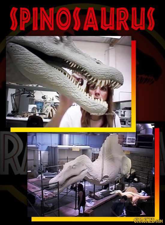 SPINOSALIRLIS www.stanwinstoos: R wWstariwipsionschool.co