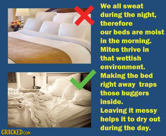 We all sweat during the night, therefore our beds are moist in the morning. Mites thrive in that wettish environment. Making the bed right away traps