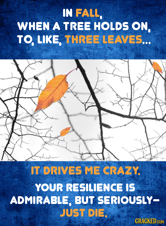 IN FALL, WHEN A TREE HOLDS ON, TO. LIKE, THREE LEAVES... IT DRIVES ME CRAZY. YOUR RESILIENCE IS ADMIRABLE. BUT SERIOUSLY- JUST DIE.