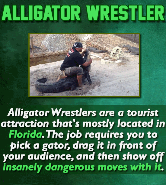 21 Wild Jobs You Won't Believe Are Real