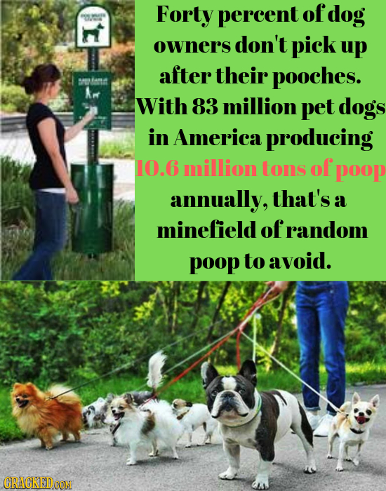Forty percent of dog E owners don't pick up after their pooches. With 83 million pet dogs in America producing 10.6 million tons of poop annually, tha