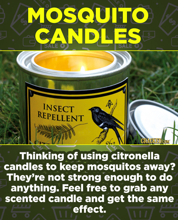16 Products In Wide Use (That Don't Do Much) - Thinking of using citronella candles to keep mosquitos away? They’re not strong enough to do anything.