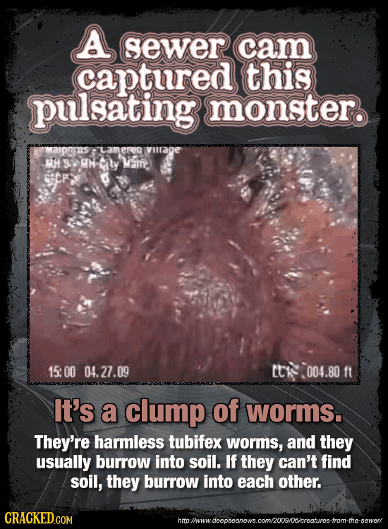 25 'Unsolved' Mysteries (That Have Totally Been Solved)