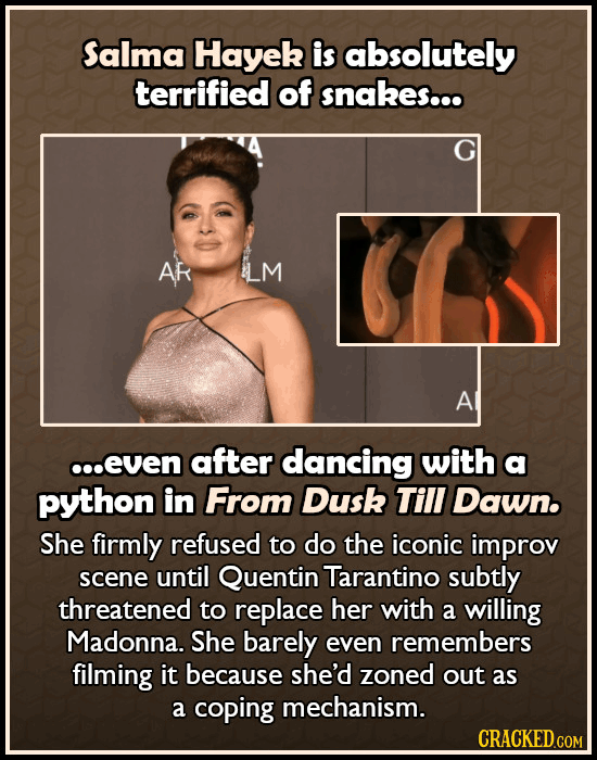 Actors Who Battled Their Worst Fears On The Job