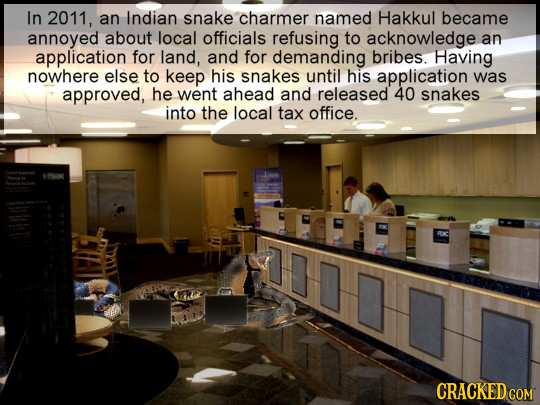 In 2011, an Indian snake charmer named Hakkul became annoyed about local officials refusing to acknowledge an application for land, and for demanding
