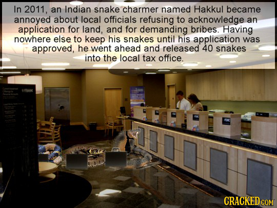 In 2011, an Indian snake charmer named Hakkul became annoyed about local officials refusing to acknowledge an application for land, and for demanding 