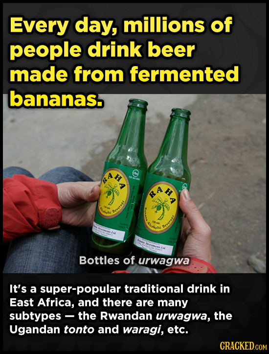 Every day, millions of people drink beer made from fermented bananas. H A HA obh c OVAA celecle Bottles of urwagwa It's a super-popular traditional dr