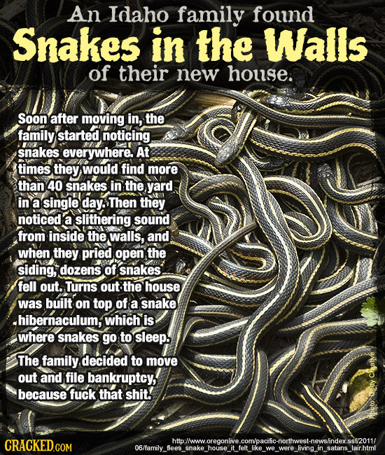 An Idaho family found Snakes in the Walls of their new house. Soon after moving in, the family started noticing snakes everywhere. At times they would