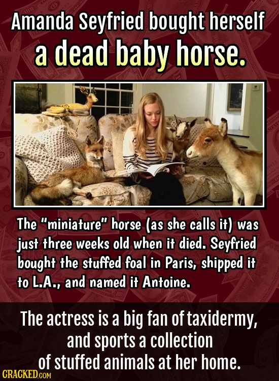 Amanda Seyfried bought herself a dead baby horse. The miniature horse (as she calls it) was just three weeks old when it died. Seyfried bought the s