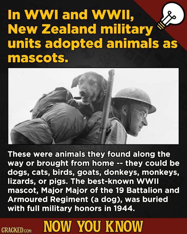 A Big Helping Of Little-Known About Movies (And Other Stuff)In WWI and WWIl, New Zealand military units adopted animals as mascots.