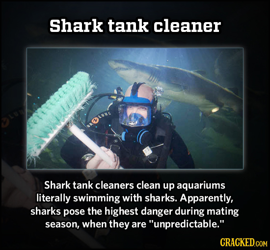 Shark tank cleaner Shark tank cleaners clean up aquariums literally swimming with sharks. Apparently, sharks pose the highest danger during mating sea