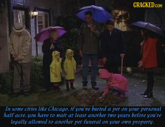 CRACKED.COM In some cities like Chicago. if you've buried a pet on your personal half acre. you have to wait at least another to vears before you're l