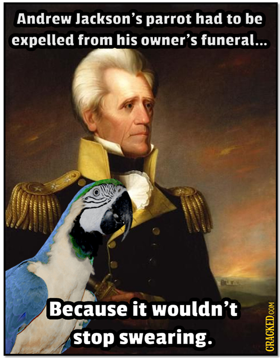 Andrew Jackson's parrot had to be expelled from his owner's funeral... Because it wouldn't stop swearing. cRac