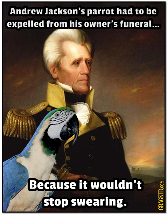 Andrew Jackson's parrot had to be expelled from his owner's funeral... Because it wouldn't stop swearing. cRac 