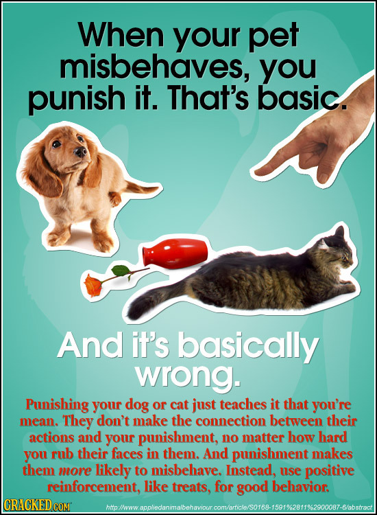 When your pet misbehaves, you punish it. That's basic. And it's basically wrong. Punishing your dog or cat just teaches it that you're mean. They don'