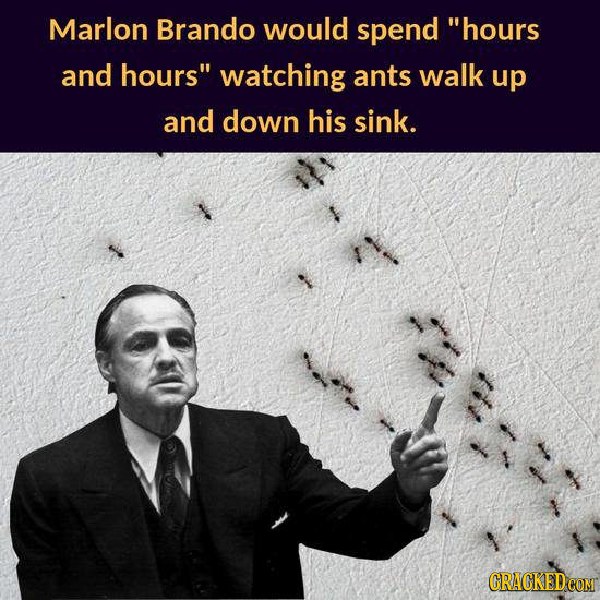 Marlon Brando would spend hours and hours watching ants walk up and down his sink. CRACKED COM