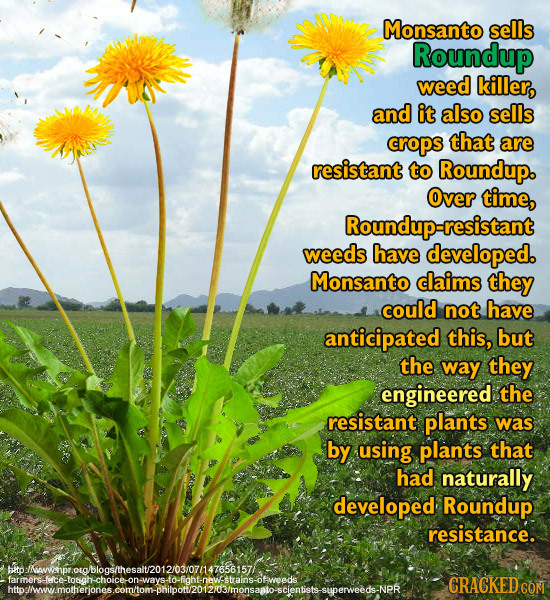 Monsanto sells Roundup weed killer, and it also sells crops that are resistant to Roundup. Over time, Roundup-resistant weeds have developed. Monsanto