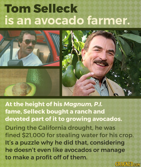 Tom Selleck is an avocado farmer. At the height of his Magnum, P.I. fame, Selleck bought a ranch and devoted part of it to growing avocados. During th