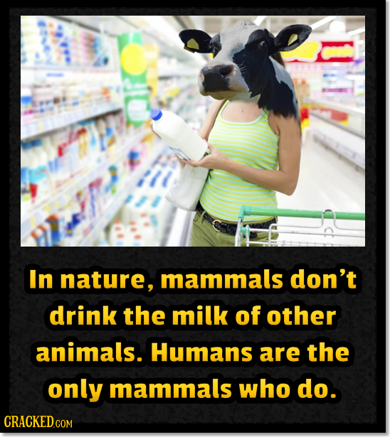 In nature, mammals don't drink the milk of other animals. Humans are the only mammals who do. 