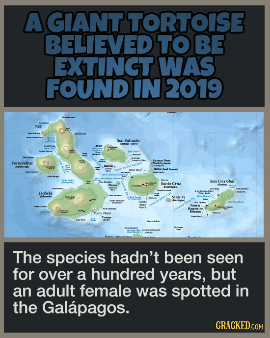 16 Pleasant Facts To Temporarily Distract You From More Terrible News