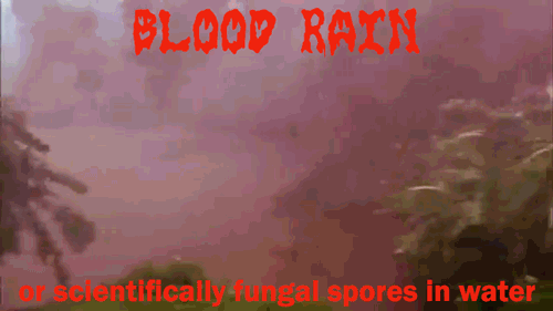 20 Real Weather Events That Put Science Fiction to Shame