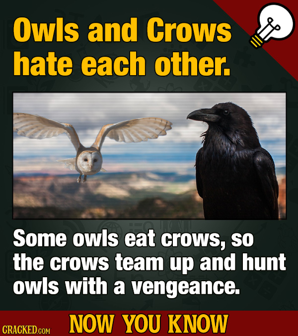 Now You Know: 12 Facts To Feed Your Movie And General Knowledge Cravings