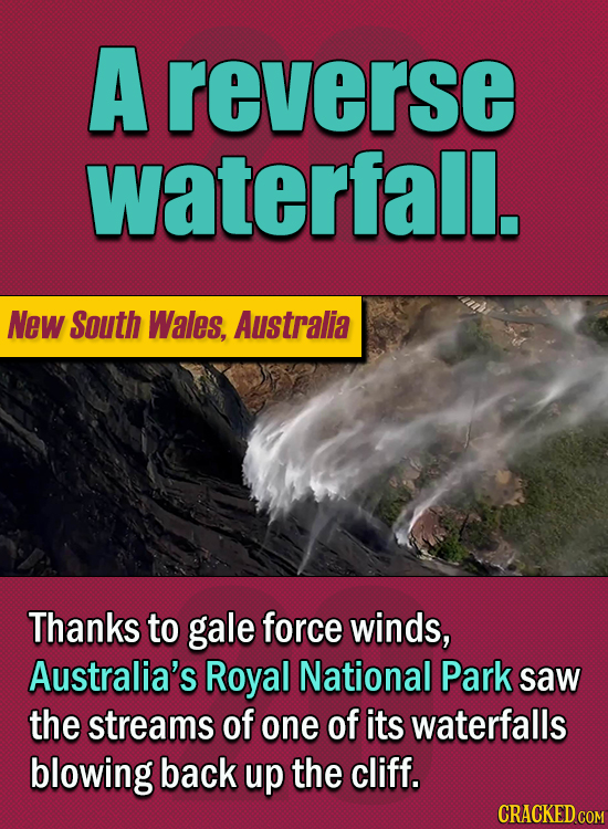 15 Of The Strangest Things 2020 Managed To Cook Up (Part 2) - A reverse waterfall
Thanks to gale force winds, Australia’s Royal National Park saw the