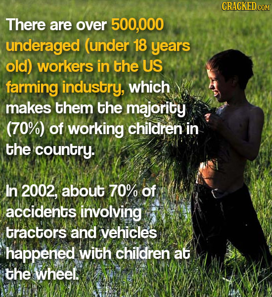CRACKED COM There are over 500,000 underaged (under 18 years old) workers in the US farming industry, which makes them the majority (70%) of working c