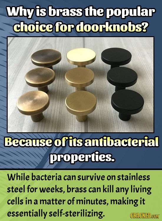 Why is brass the popular choice fordoorknobs? 00O Because ofits antibacterial properties. While bacteria can survive on stainless steel for weeks, bra