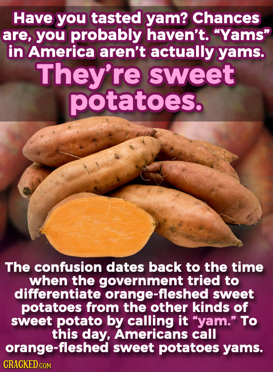 Have you tasted yam? Chances are, you probably haven't. Yams in America aren't actually yams. They're sweet potatoes. The confusion dates back to th