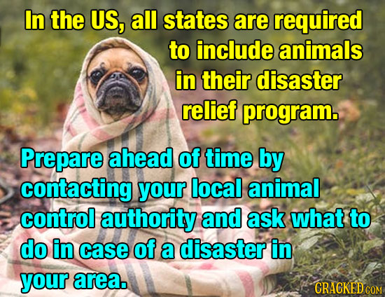In the US, all states are required to include animals in their disaster relief program. Prepare ahead of time by contacting your local animal control