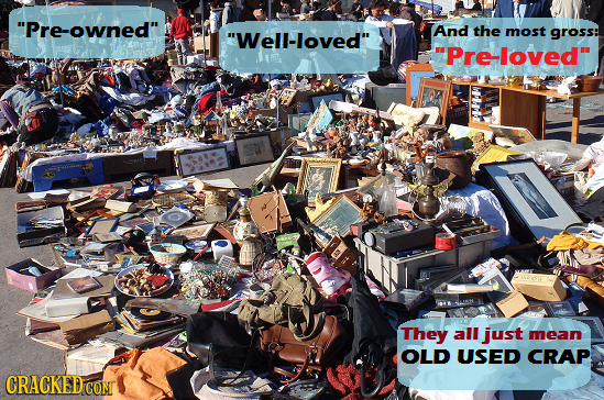 Pre-owned And the Well-loved most gross: Pre-loved They all just mean OLD USED CRAP CRACKED COM