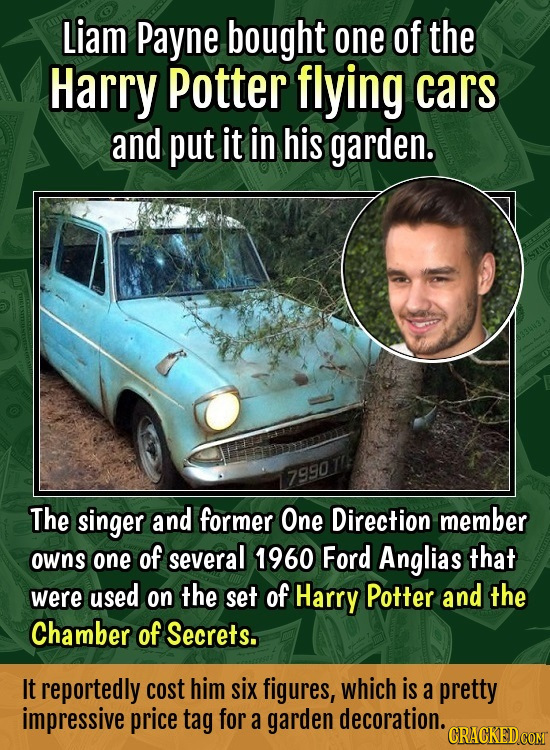 Liam Payne bought one of the Harry Potter flying cars and put it in his garden. 79901 The singer and former One Direction member owns one of several 1