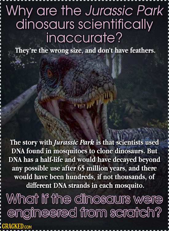 Why are the Jurassic Park dinosaurs scientifically inaccurate? They're the wrong size, and don't have feathers. The story with Jurassic Park is that s