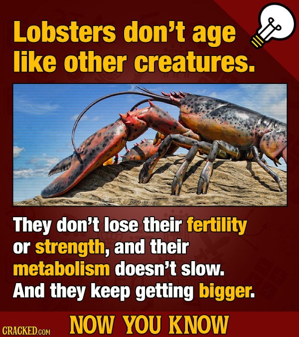 35 Random Bits of Trivia You Have to Finish Before You Can Have Dessert