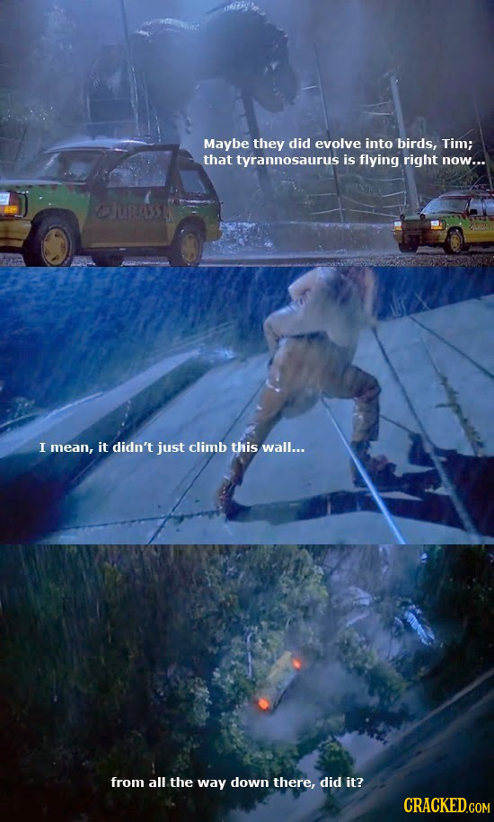 Maybe they did evolve into birds, Tim; that tyrannosaurus is flying right now... JURSS I mean, it didn't just climb this wall... from all the way down