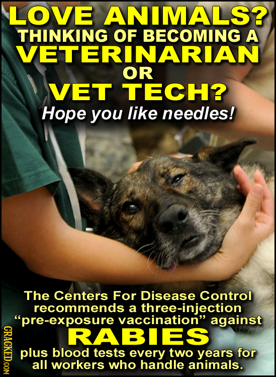 LOVE ANIMALS? THINKING OF BECOMING A VETERINARIAN OR VET TECH? Hope you like needles! The Centers For Disease Control recommends a three-injection 'p
