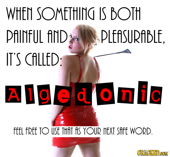 WHEN SOMETHING IS BOTH PAINFUL AND PLEASURABLE, IT'S CALLED: A Alge doin i c n C FEEL FREE TO USE THAT as YOUR NEXT SAFE WORD. CRACKED.CON